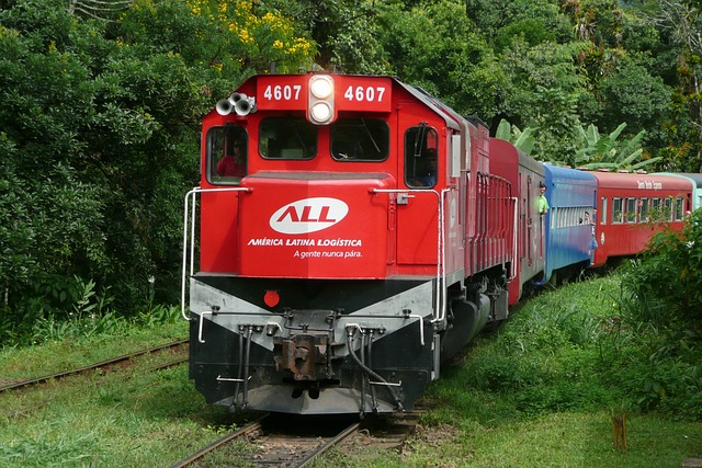 Free Train Brazil photo and picture