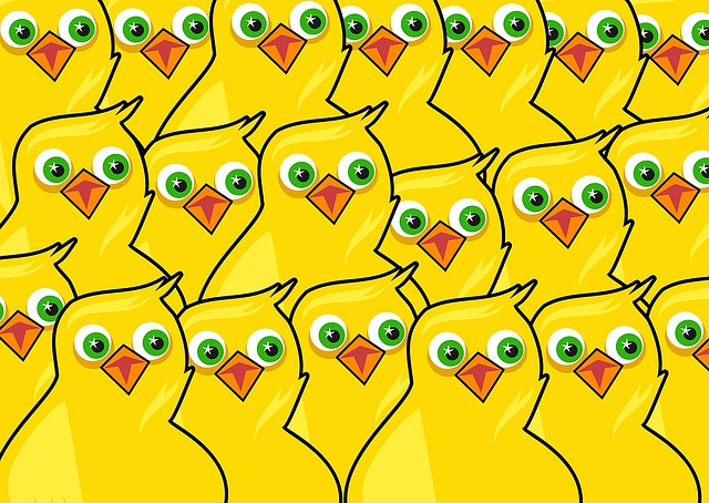 Free animal birds chick illustration