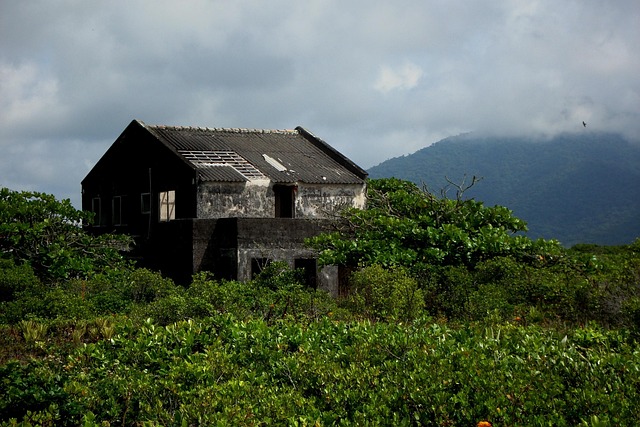 Free Abandoned House Nature photo and picture