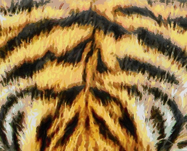 Free animal fur texture tiger illustration