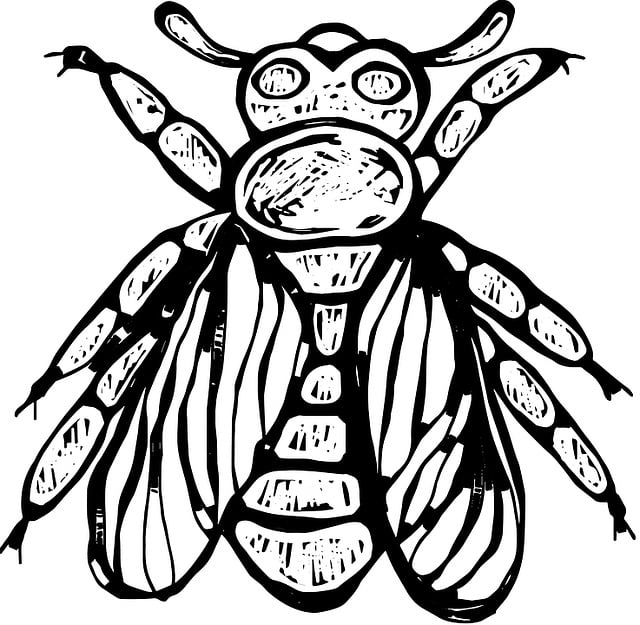 Free animal nature wild illustration