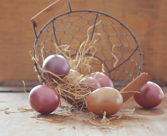 Free Eggs Easter Eggs photo and picture
