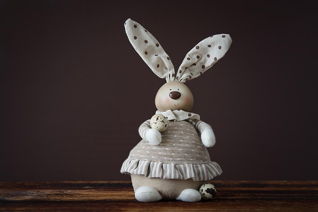 Free Rabbit Easter Bunny photo and picture