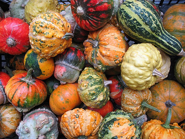 Free Nature Plants photo and picture
