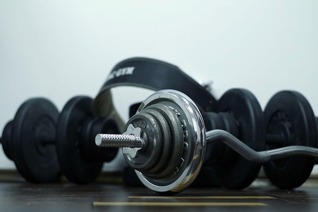Free Sport Exercises photo and picture
