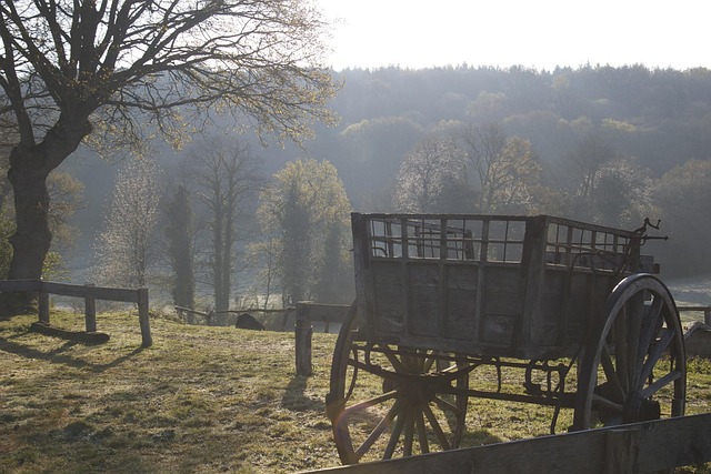 Free Cart Field photo and picture