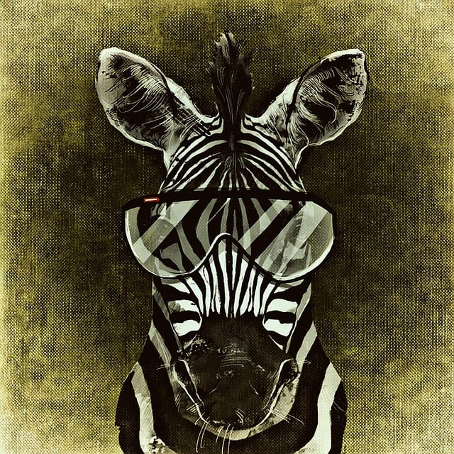 Free Zebra Cool illustration and picture