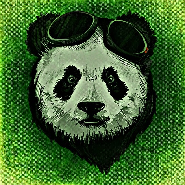 Panda, Dyr, Vild, Abstrakt, Natur