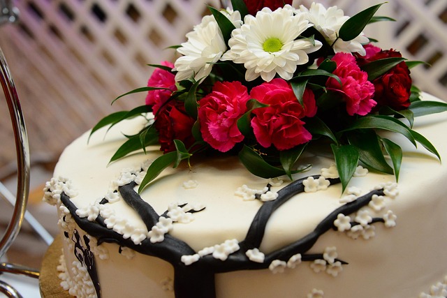 Hochzeit, Ehe, White, Ein Neues Leben