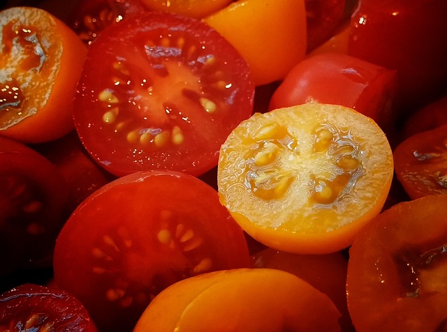 Free Tomato Tomatoes photo and picture