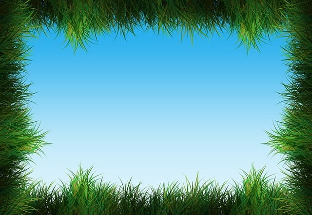 Free grass lawn green illustration
