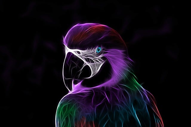 Free parrot era bird illustration