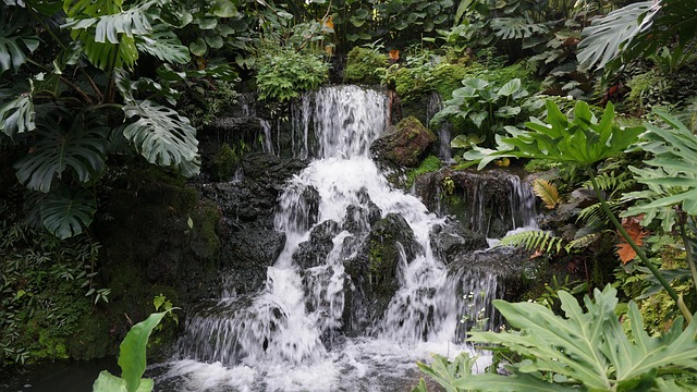 Free Waterfall Cambodia photo and picture