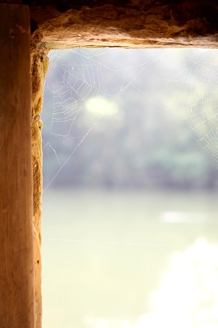 Free Archer Archery photo and picture