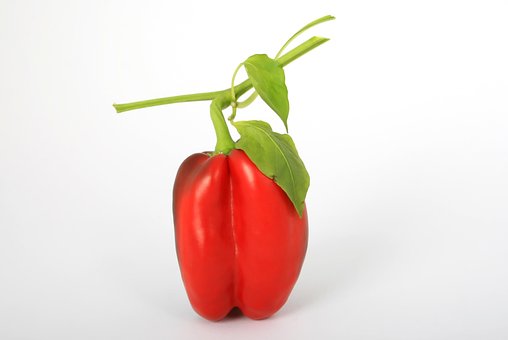 Dolmalık Biber, Red, Sebze, Biber, Ham