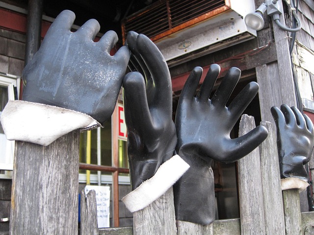 Free Gloves Hands photo and picture