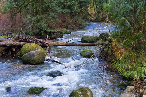 Wasser, Bach, Natur, Fluss, Bachlauf
