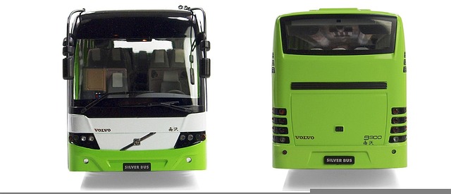 Free Buses Model Cars photo and picture