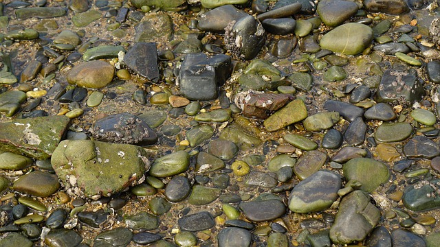 Free Ocean Pebble photo and picture