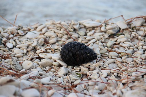 Plajă, Pietre, Pietricele, Con De Pin