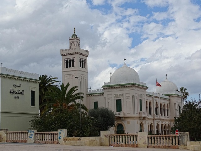 Free School Tunis photo and picture