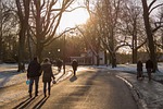 park, people, walking