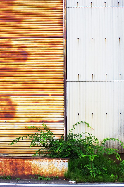 Plante, Lager, Rust