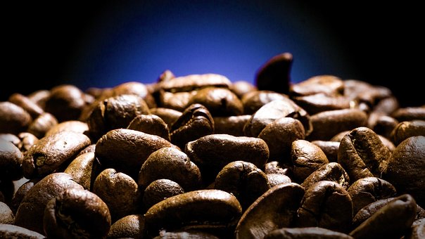 Free Coffee Cafe photo and picture