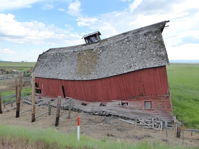 Tímido, Viejo, Caspa, Agricultura