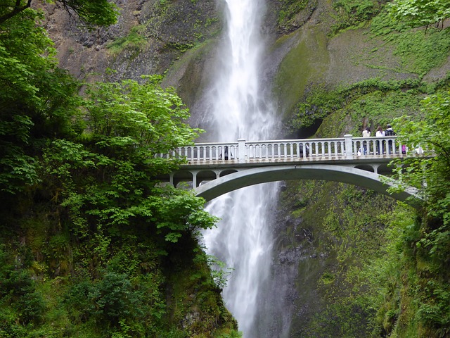 Cascada, Puente, Arroyo, Naturaleza