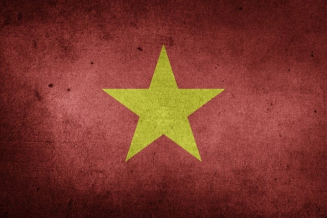 Free vietnam flag grunge illustration
