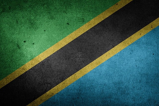 Free tanzania flag grunge illustration