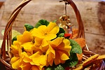 flower, primrose, signs of spring