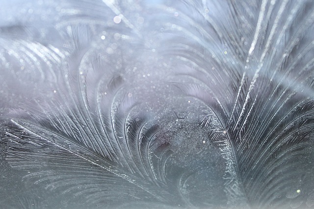 Eisblumen, Winter, Kälte, Frost