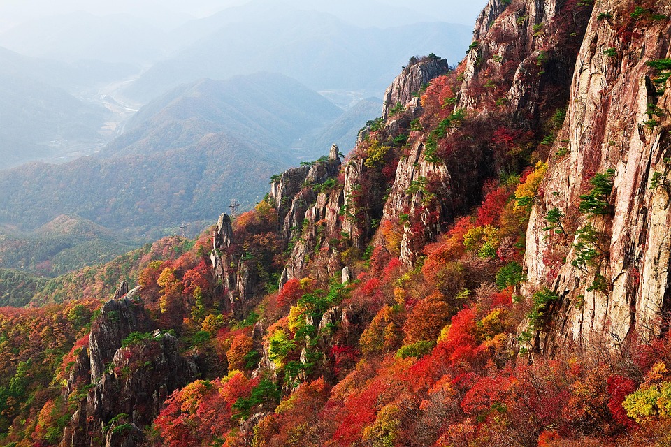 산 단풍 가을 · Pixabay의 무료 사진