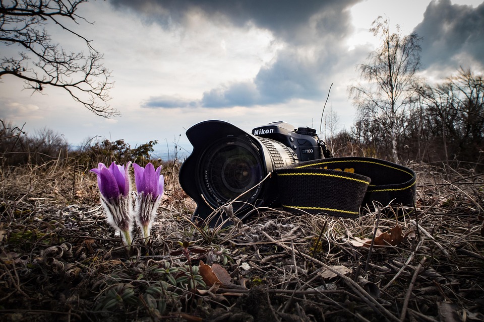 Camera Nikon Spring · Free photo on Pixabay