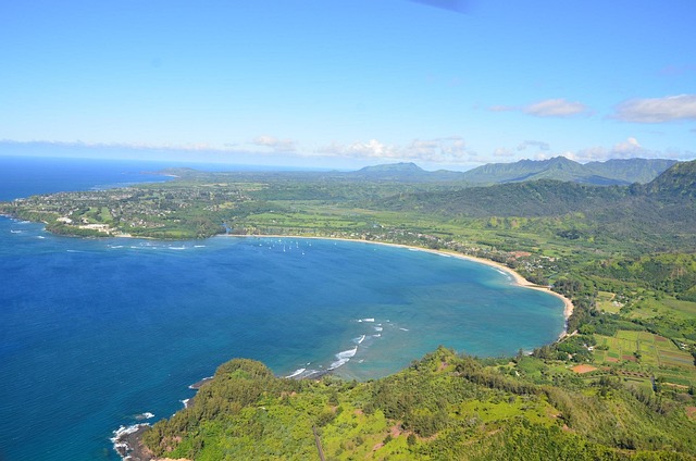 Free Hawaii Beach photo and picture