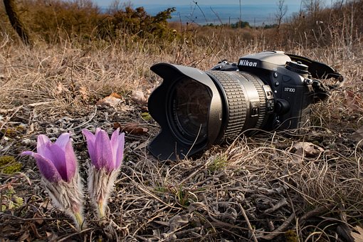 Free Camera Nikon photo and picture
