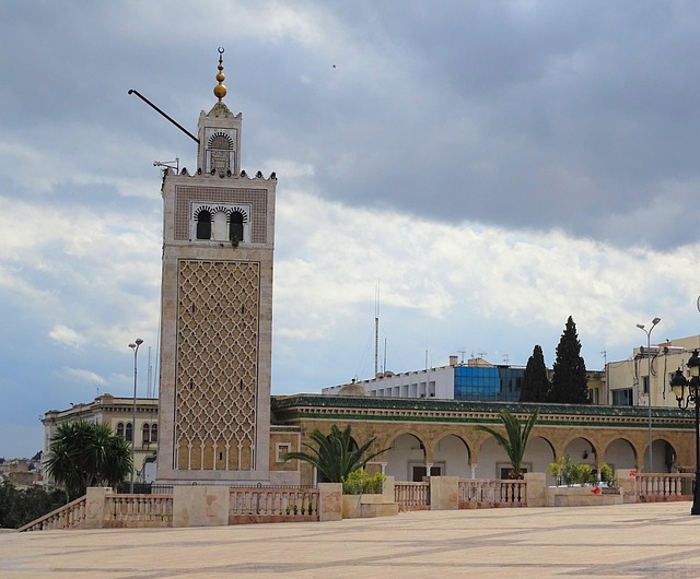 Free Tunis Tunisia photo and picture