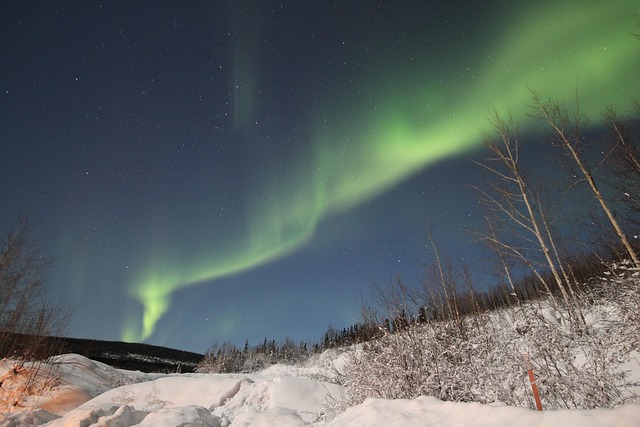 Aurora, Borealis, Northern Lights, Nacht