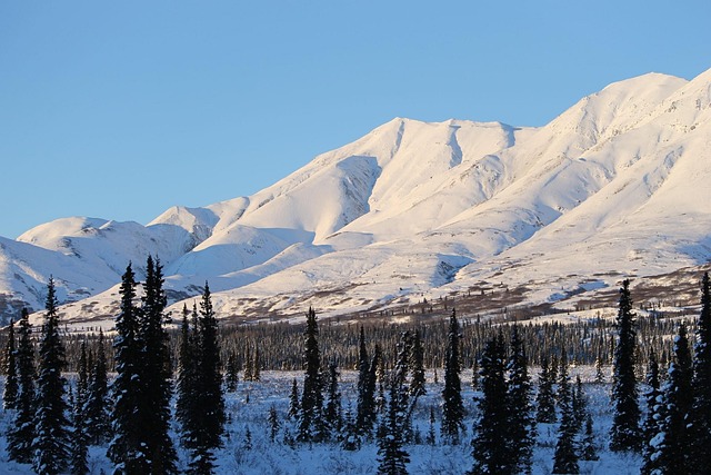 Alaska, Berg, Wit, Koud, Winter, Sneeuw