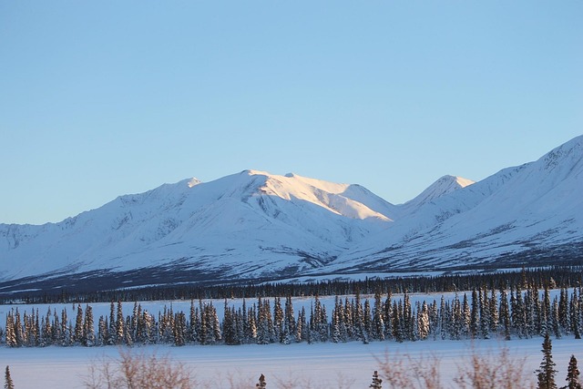 Alaska, Berg, Wit, Koud, Winter, Sneeuw