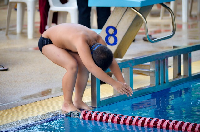 Free Swimming Water photo and picture