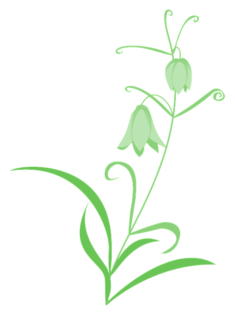 Fritillaria, Lily, Grøn, Natur, Blomst