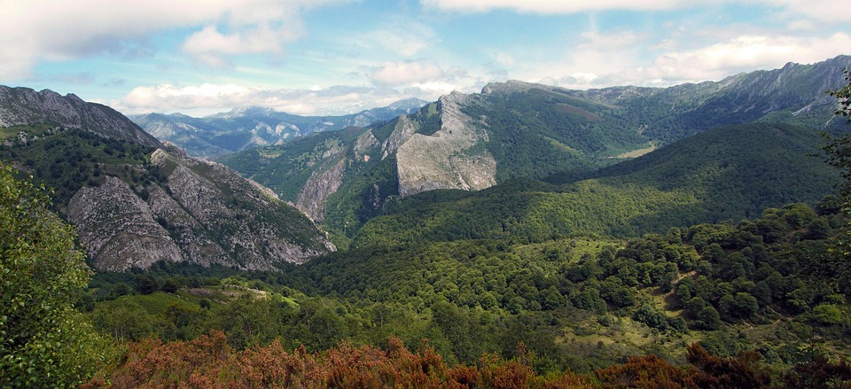 Bosque, Redes, Asturias, España, Paisaje, Naturaleza
