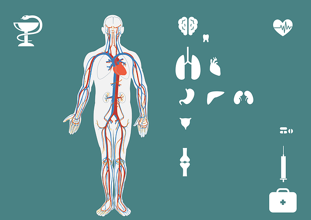 Free medicine icon set body vector