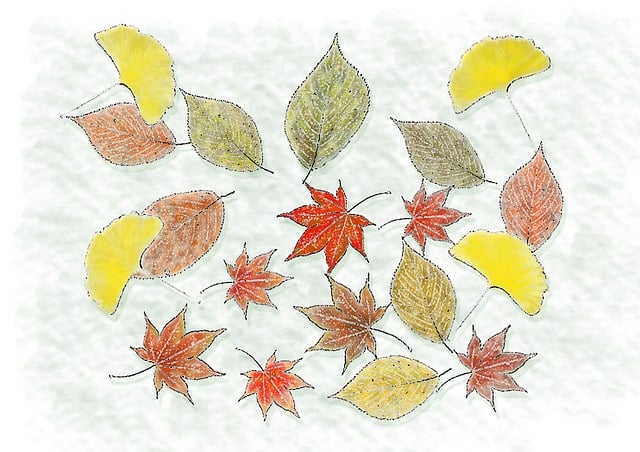 Free autumn nature fallen leaves illustration