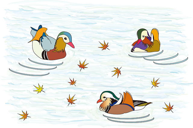 Free mandarin duck bird nature illustration