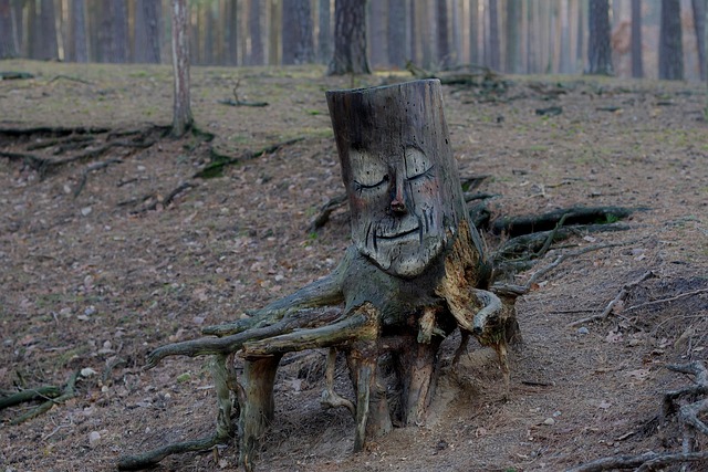 Escultura Em Madeira, Natureza, Floresta