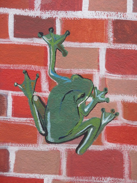 Free Frog Wall illustration and picture